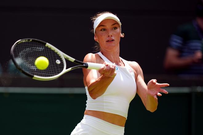 开赛年度半 开赛年度半